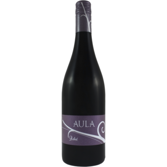 Bottle shot for 2015 Bodegas Covinas "Aula" Tinto Bobal