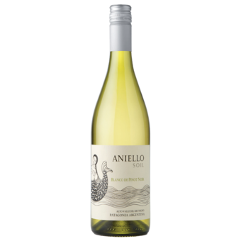 Bottle shot for 2015 Bodega Aniello Soil Blanco De Pinot Noir
