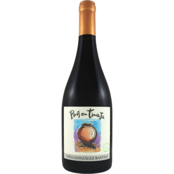 Bottle shot for 2017 Vina Gonzalez Bastias Pais En Tinaja Valle De Maule