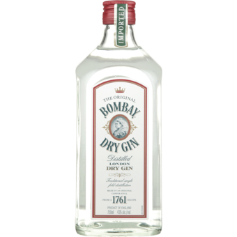 Bottle shot for  Bombay Gin