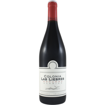 Bottle shot for 2020 Altos Las Hormigas Colonia Las Liebres Bonarda