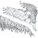 Image selector to view front