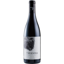 Product image for 2021 Suertes Del Marques 7 Fuentes Vino De Villa