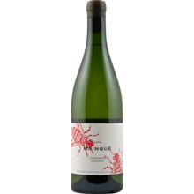 Product image for 2024 Bodega Chacra Mainque Chardonnay