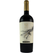 Product image for 2022 Clos De Luz Massal 1945 Carmenere