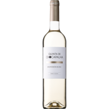 Product image for 2023 Quinta Da Chocapalha Sauvignon Blanc