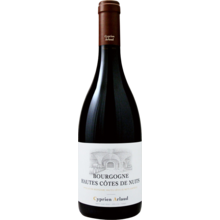 Product image for 2023 Cyprien Arlaud Hautes Cotes De Nuits