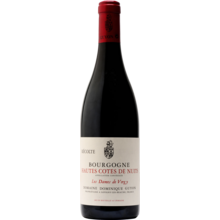 Product image for 2022 D. Guyon Bourgogne Hautes Cotes De Nuits 'Les Dames De Vergy'