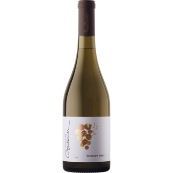 Bottle shot for 2023 Domaine Couturier Bourgogne Blanc