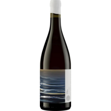 Product image for 2019 Trizanne Signature Wines Syrah Reserve Elim