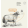 Image selector to view front