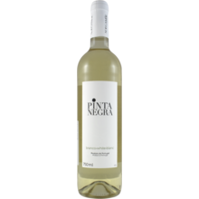 Product image for 2024 Adega Mae Pinta Negra Branco