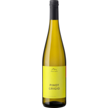 Product image for 2024 Erste & Neue Pinot Grigio