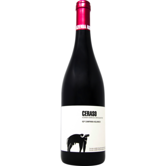 Bottle shot for 2022 San Salvatore Aglianico 'Ceraso'