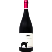 Product image for 2022 San Salvatore Aglianico 'Ceraso'
