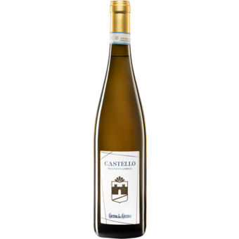 Bottle shot for 2024 Cantina Del Castello Soave Classico