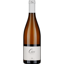 Product image for 2024 Rodrigo Mendez 'Cies'