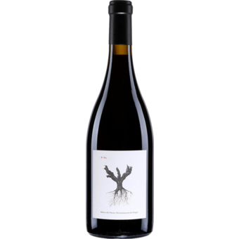 Bottle shot for 2023 Dominio De Pingus Psi Ribera Del Duero