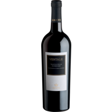 Product image for 2021 Santi Ventale Valpolicella Superior Docg