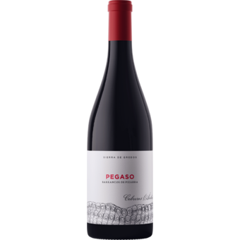 Bottle shot for 2019 Telmo Rodriguez Pegaso Barrancos De Pizarra