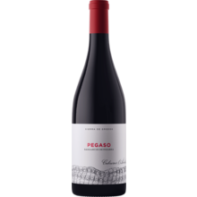 Product image for 2019 Telmo Rodriguez Pegaso Barrancos De Pizarra