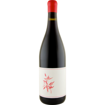 Bottle shot for 2024 Arnot Roberts Fox Creek Vineyard Pinot Noir