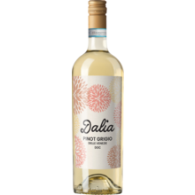 Product image for 2025 Dalia Pinot Grigio