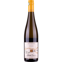 Product image for 2023 Albert Mann Riesling Tradition