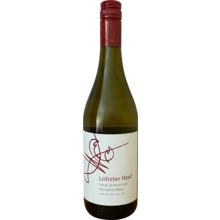 Product image for 2025 Lobster Reef Sauvignon Blanc Marlborough