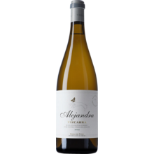 Product image for 2022 Bodegas Vizcarra Alejandra White Ribera Del Duero