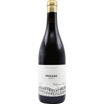 Bottle shot for 2022 Telmo Rodriguez Pegaso 'Granito'