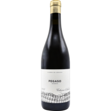 Product image for 2022 Telmo Rodriguez Pegaso 'Granito'
