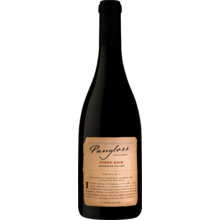 Product image for 2022 Pangloss Pinot Noir Anderson Valley