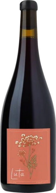 Bottle shot for 2021 Luta "Rising" Pinot Noir