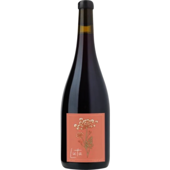 Bottle shot for 2021 Luta "Rising" Pinot Noir