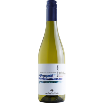 Bottle shot for 2025 Monte Schiavo Verdicchio Dei Castelli Di Jesi Classico