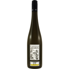 Product image for 2025 Bernhard Ott Am Berg Gruner Veltliner