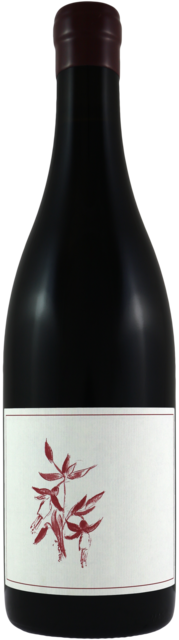 Bottle shot for 2024 Arnot Roberts Syrah Que
