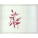 Image selector to view front