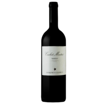 Product image for 2021 Domenico Clerico Ciabot Mentin Barolo