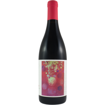Bottle shot for 2024 Lingua Franca Pinot Noir Avni