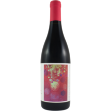 Product image for 2024 Lingua Franca Pinot Noir Avni
