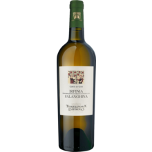 Product image for 2025 Terredora Di Paolo Falanghina Campania