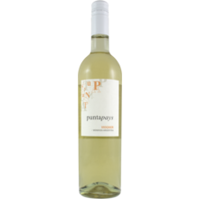 Product image for 2023 Punta Pays Viognier