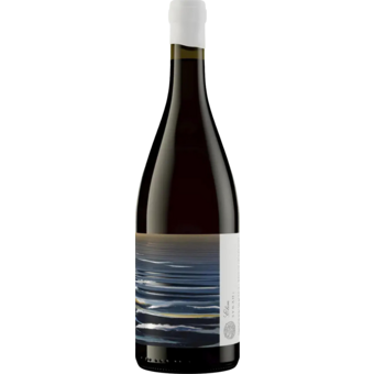 Bottle shot for 2021 Trizanne Signature Wines Syrah Reserve Elim