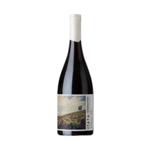 Product image for 2025 Ungrafted Cinsault Itata Valley