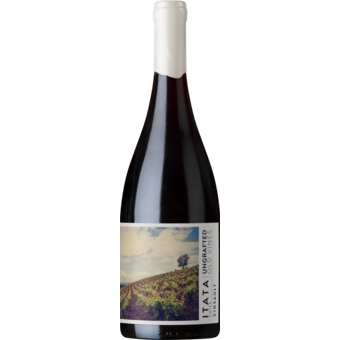 Bottle shot for 2025 Ungrafted Cinsault Itata Valley