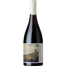 Product image for 2025 Ungrafted Cinsault Itata Valley