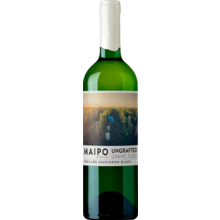 Product image for 2025 Ungrafted Semillon Sauvignon Blanc Maipo Valley
