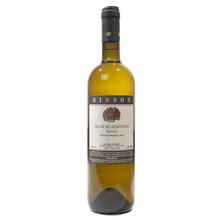 Product image for 2025 Bisson Pigato Colline Del Genovesato